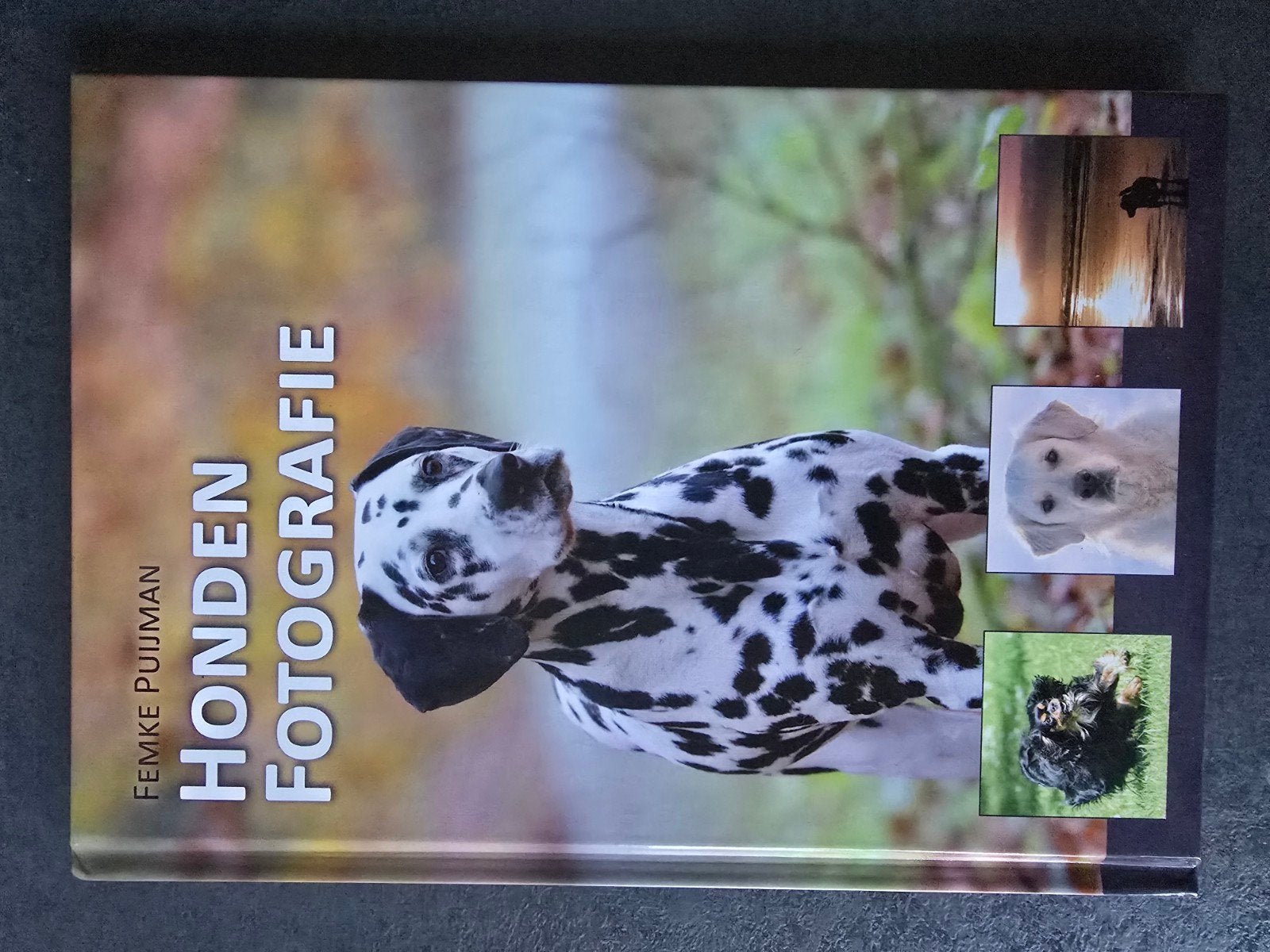 Hondenfotografie - Leer je hond perfect vast te leggen, Ophalen of Verzenden, Zo goed als nieuw, Fotografie algemeen, Femke Puijman
