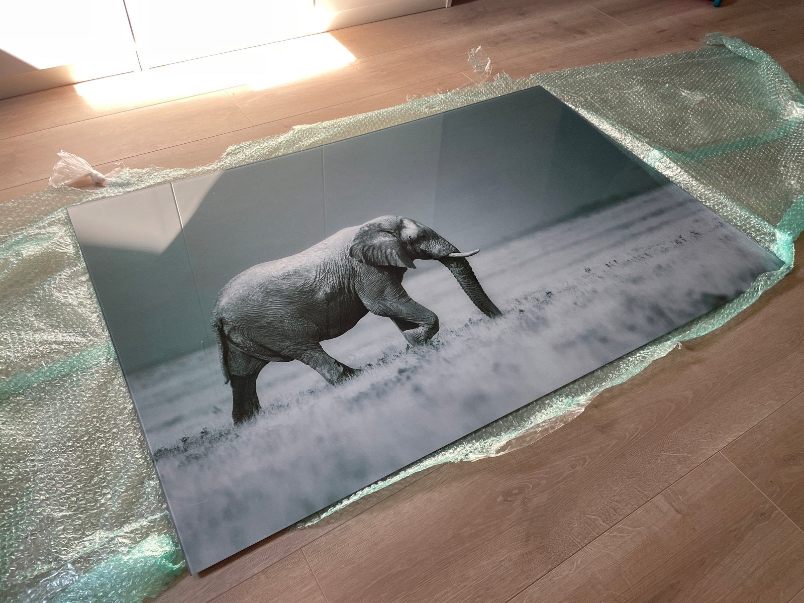 Olifantenprint op glas - Zo goed als nieuw, Ophalen, Zo goed als nieuw, 100 tot 125 cm, Foto of Poster