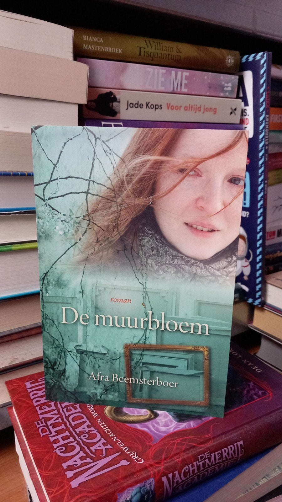 De Muurbloem - Roman van Afra Beemsterboer gesigneerd, Ophalen of Verzenden, Zo goed als nieuw, Afra Beemsterboer, Nederland