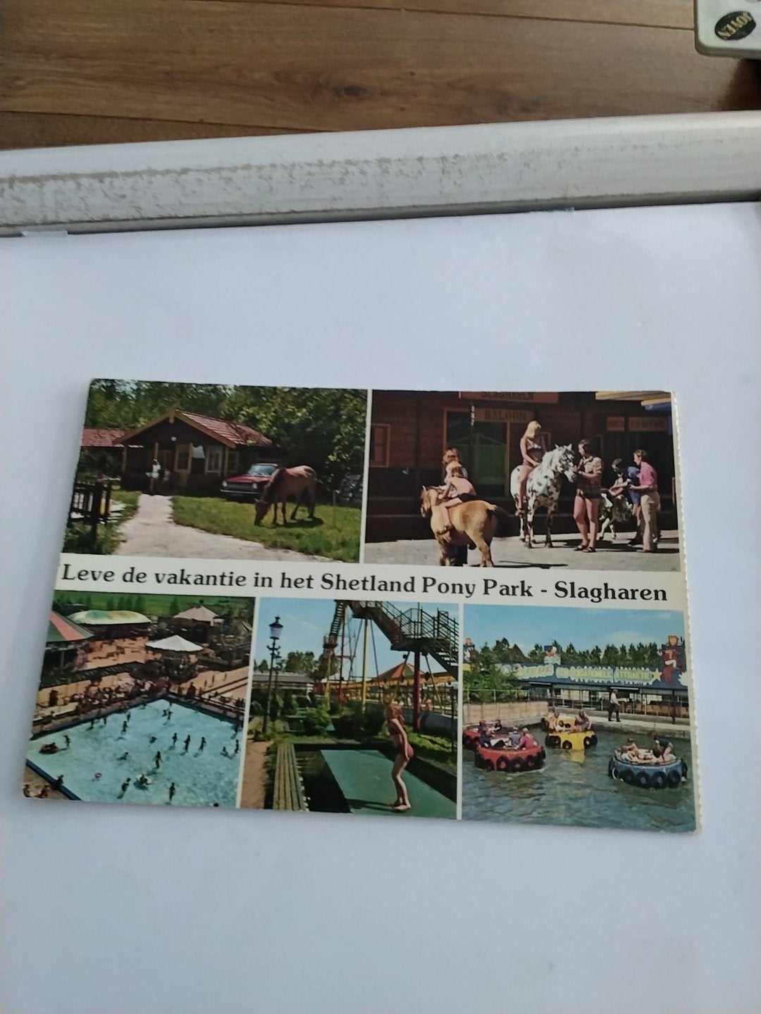SLAGHAREN. LEVE DE VAKANTIE IN HET SHETLAND PONY PARK, Ophalen of Verzenden, Voor 1920, Overijssel