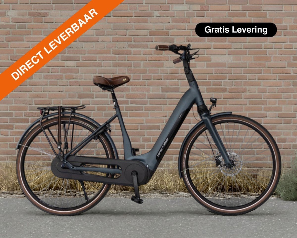 Granville E-Elegance NEX, 625 Wh Dames Adviesprijs: € 3899