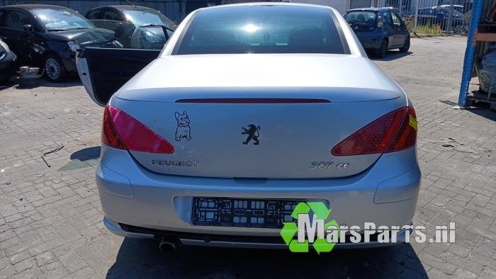 Achterklep van een Peugeot 307, Auto-onderdelen, Gebruikt, -, Ophalen of Verzenden, -