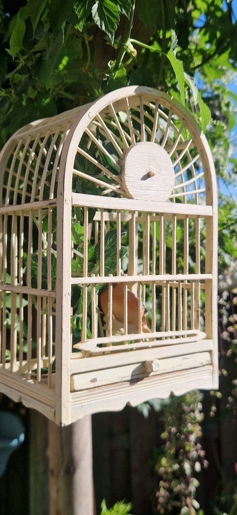 Mooi sierlijk houten vogelkooitje + halfrond dak  (brocante), Dieren en Toebehoren, Ophalen of Verzenden, Zo goed als nieuw, Metaal