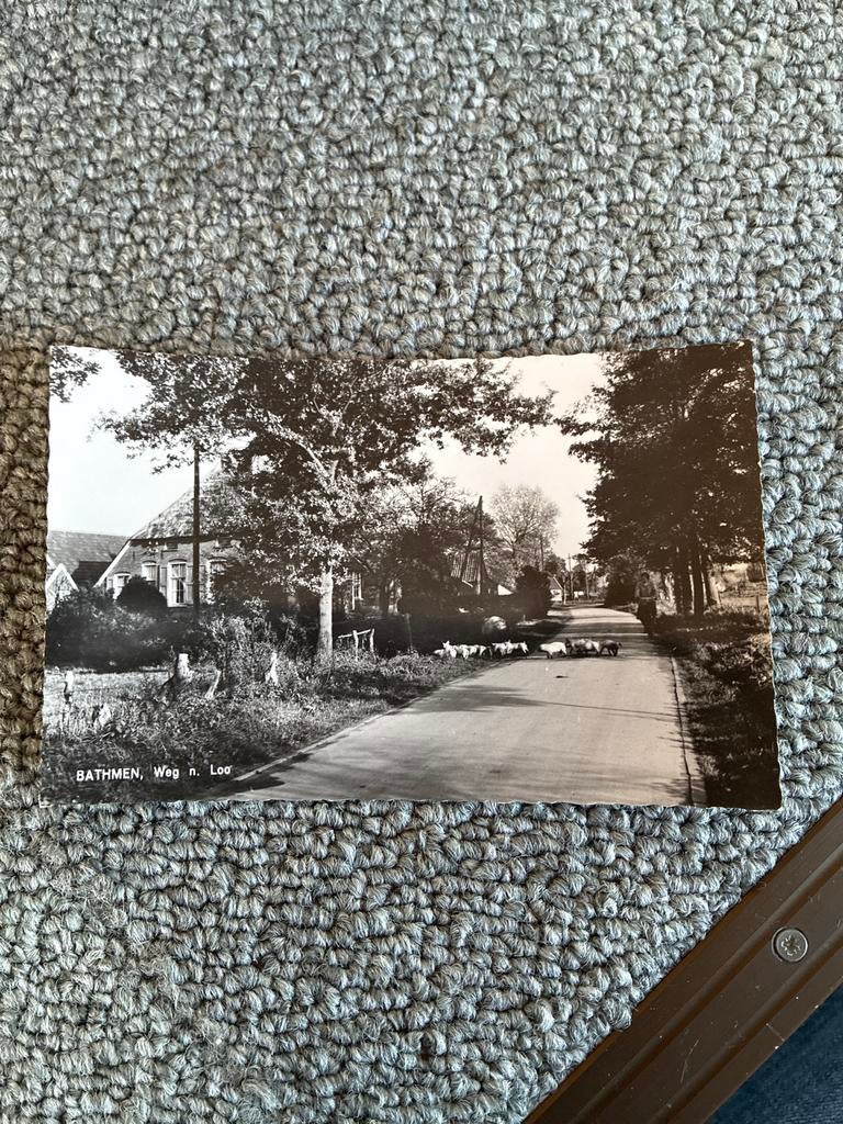 Oude ansichtkaart Bathmen, Weg naar Loo - Zwart-wit, Ophalen of Verzenden, 1940 tot 1960, Ongelopen, Overijssel