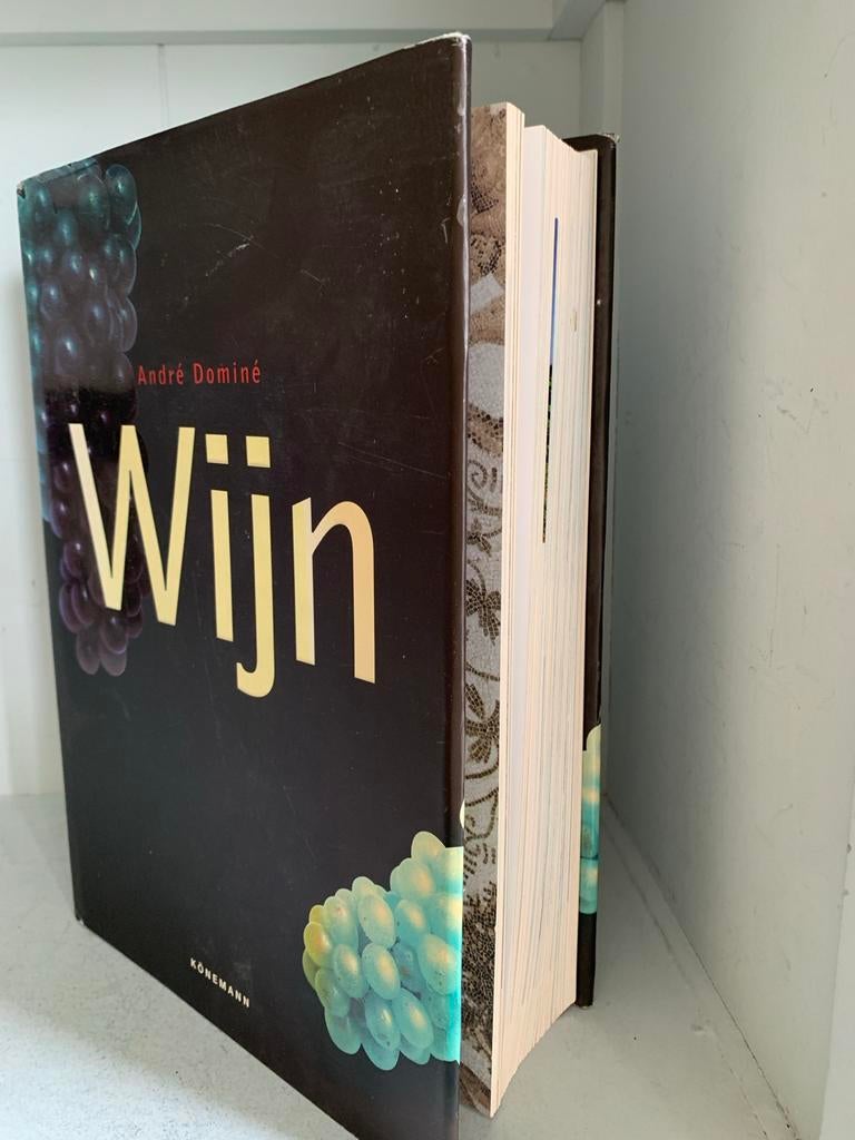 Wijn - André Dominé - Groot Wijnboek, Ophalen of Verzenden, Overige gebieden, Rode wijn