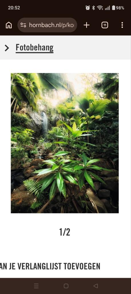 Komar Fotobehang Vlies X4-527 Spirit 200x260 cm, Ophalen of Verzenden, Minder dan 10 m², Groen, Natuur, Landschap, Tropisch