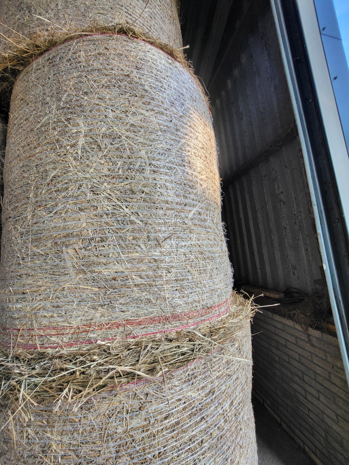 stro voor paarden, Dieren en Toebehoren, Ophalen, Vee