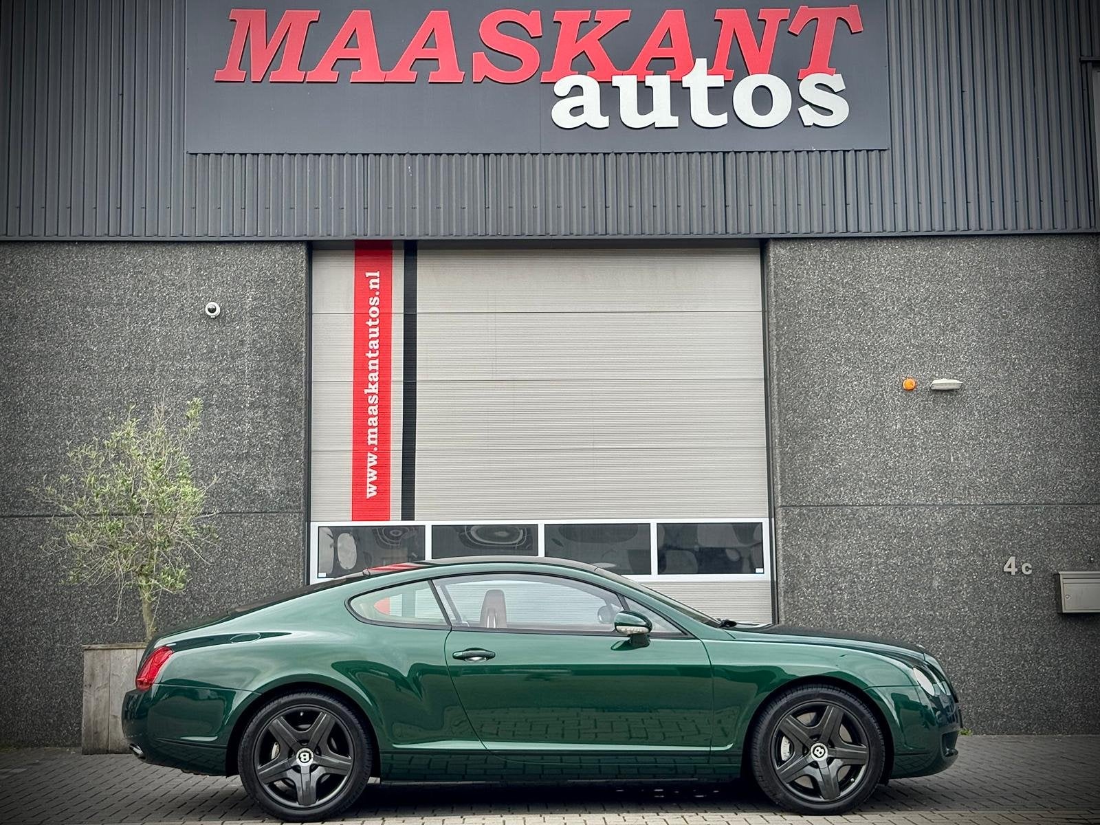 Bentley Continental GT 6.0 W12 / 560pk / Verdant Green / Cog, Auto's, Automaat, Gebruikt, Beige, 12 cilinders
