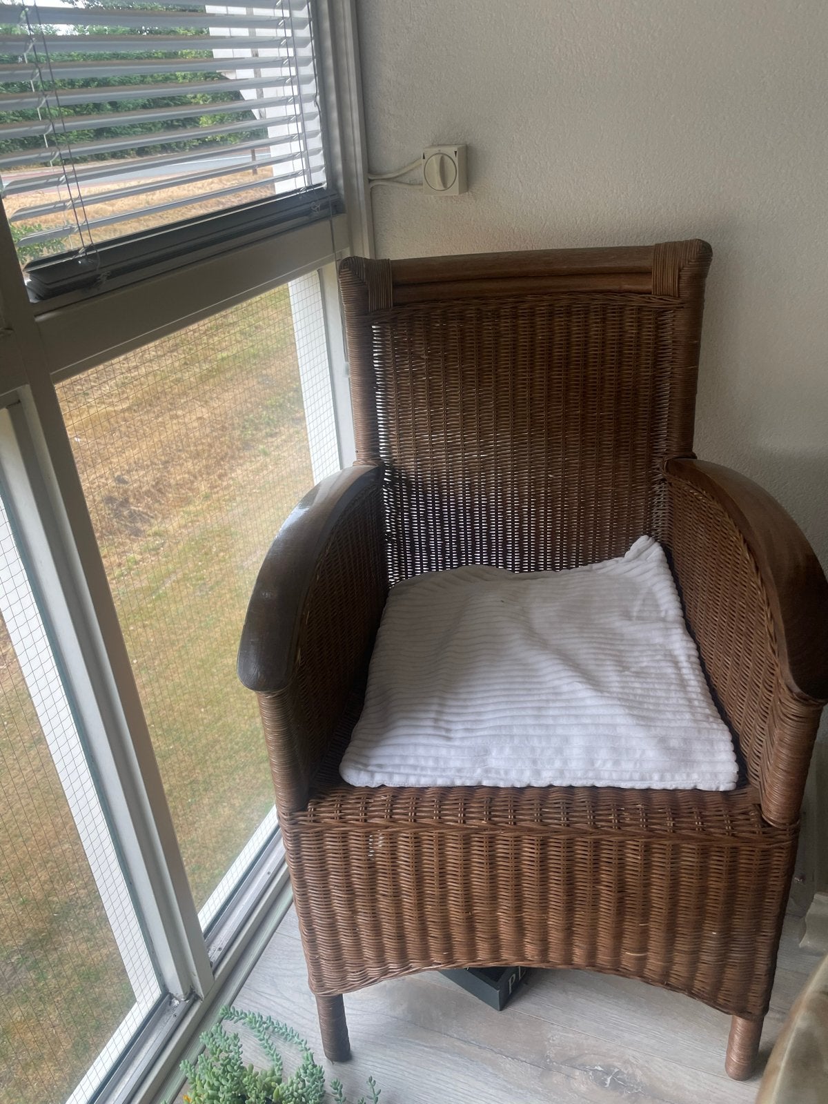 4 rotan stoelen met houten armleuningen, Huis en Inrichting, Stoelen, Ophalen, Gebruikt, Bruin, Riet of Rotan