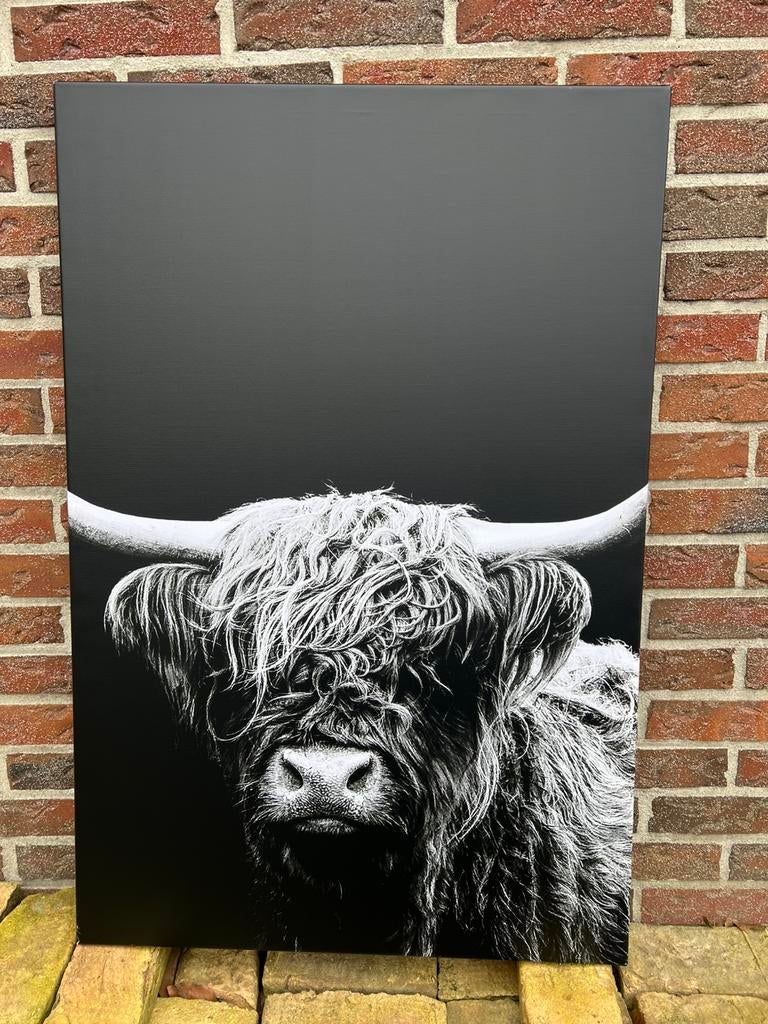 Canvas schotse hooglander €10,- afhaal, Ophalen, Nieuw