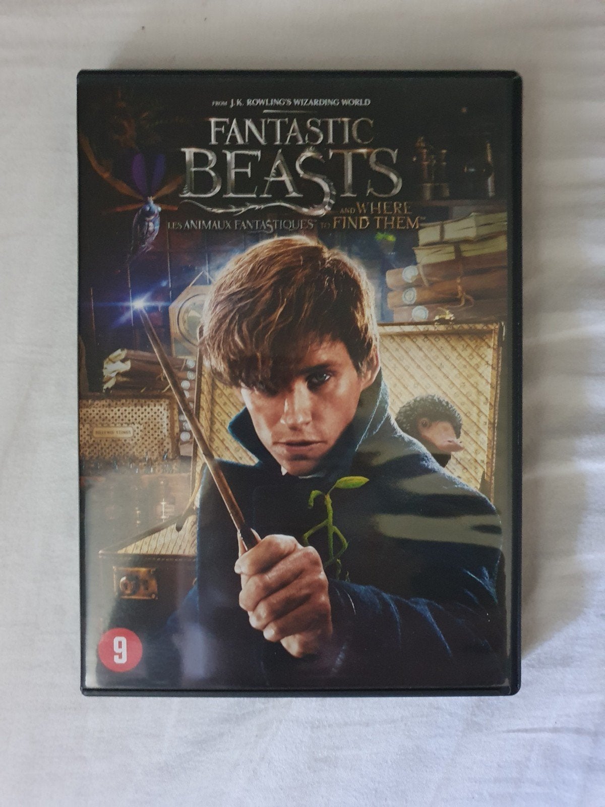 Fantastic Beasts and Where to Find Them DVD, Cd's en Dvd's, Vanaf 9 jaar, Ophalen of Verzenden, Zo goed als nieuw, Fantasy