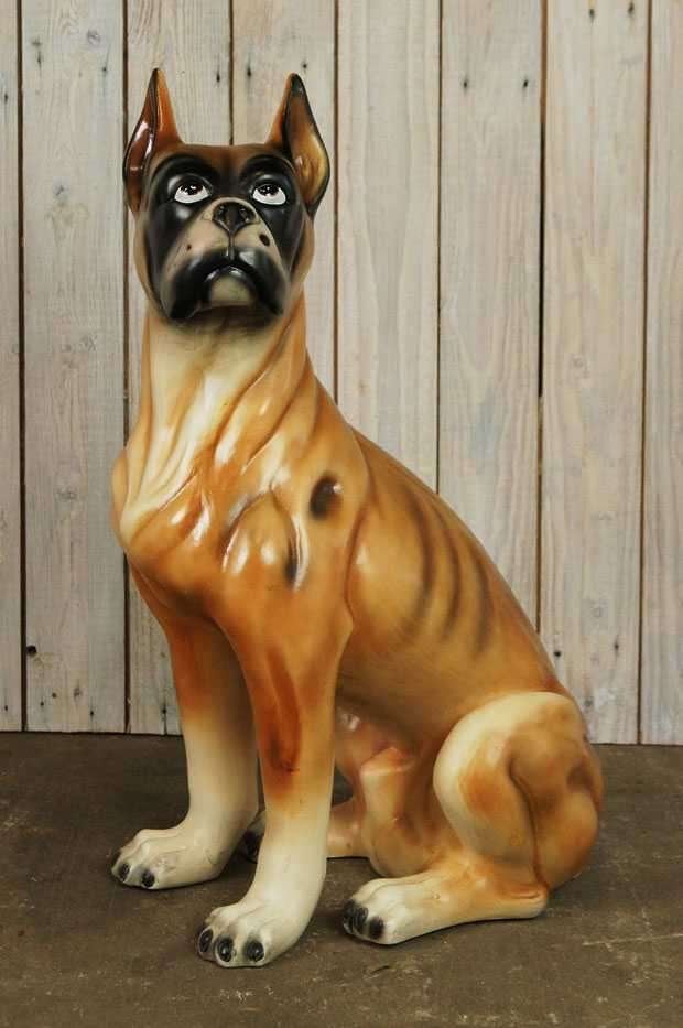 hond zoekt hond, Ophalen of Verzenden, Zo goed als nieuw, Dier