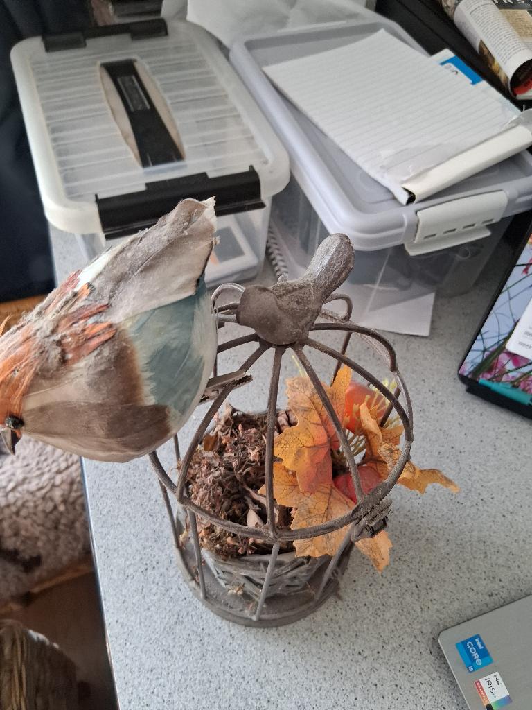 deco met vogels en kooi en herfst bloemstuk, Ophalen, Brocante, Meerkleurig, Zo goed als nieuw