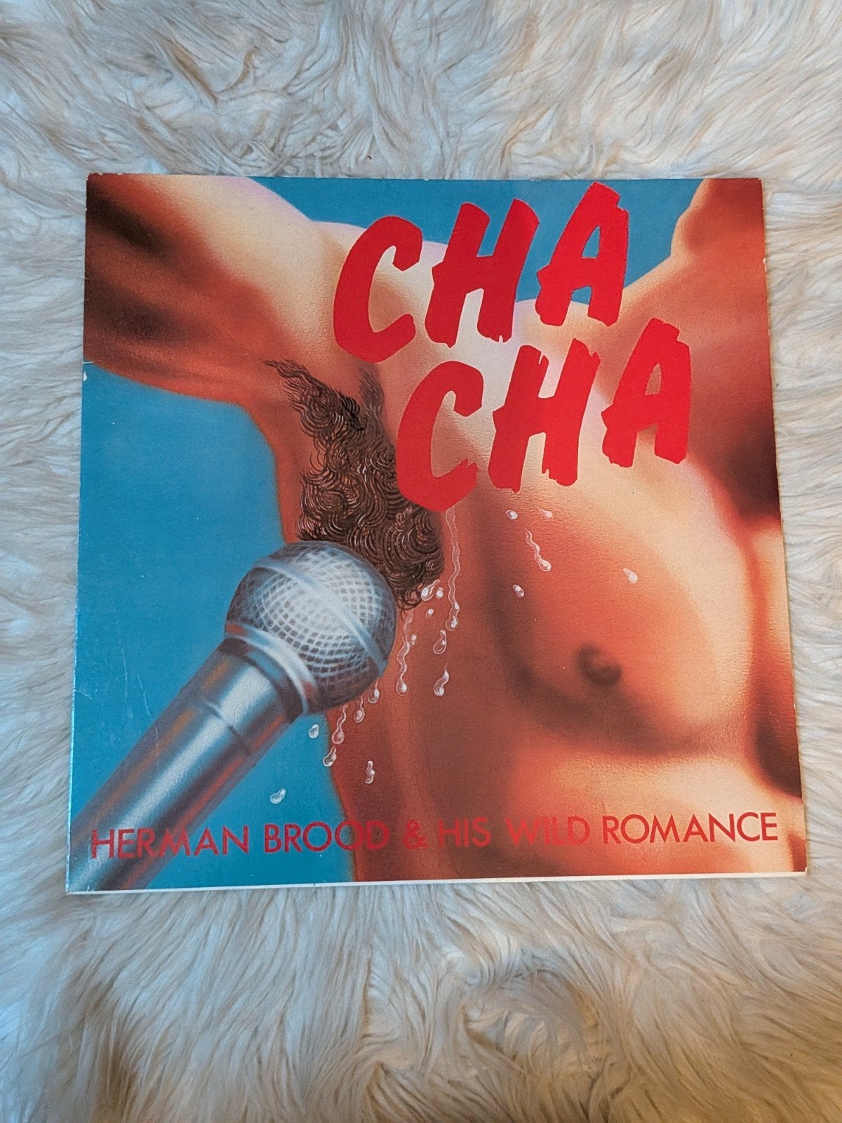 Herman Brood & His Wild Romance - Cha Cha LP, Cd's en Dvd's, LP, Ophalen of Verzenden, Zo goed als nieuw, 12 inch