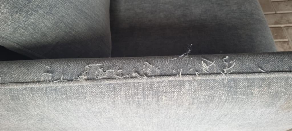 Love-seat, Huis en Inrichting, Fauteuils, Ophalen, Nieuw