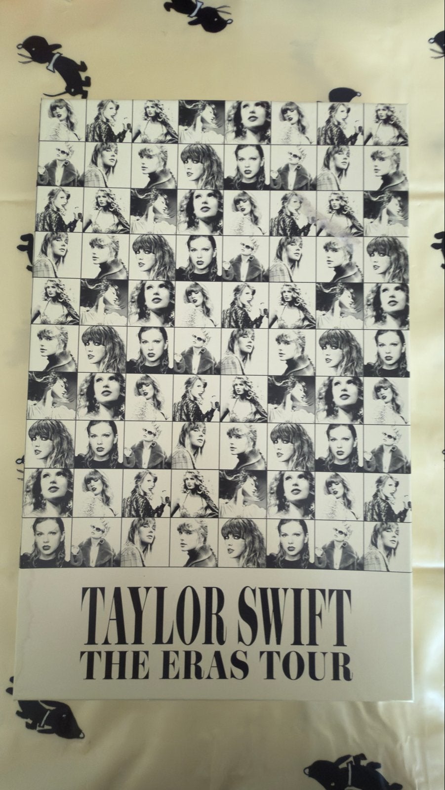 Taylor Swift The Eras Tour VIP Box (incompleet), Ophalen of Verzenden, Gebruikt, Poster, Artwork of Schilderij