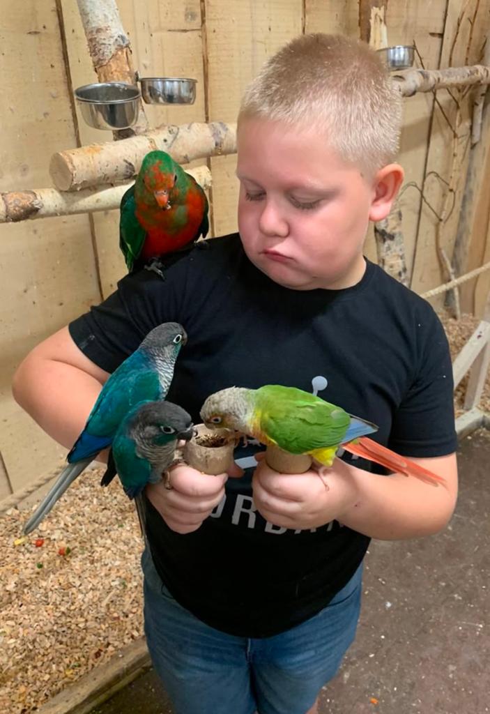 zoek samen met u kinderen de favorieten vogel soort uit, Meerdere dieren, Papegaai, Pratend