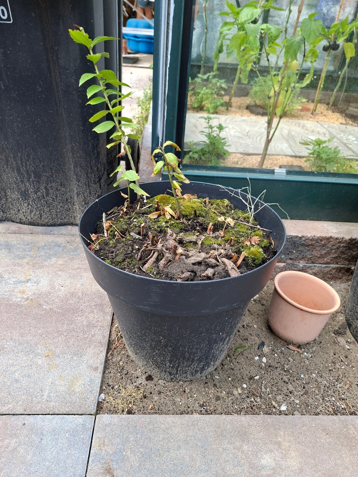 Grote pot met roze pioenrozen en witte lelie, Tuin en Terras, Kunststof, Gebruikt, Rond, Balkon