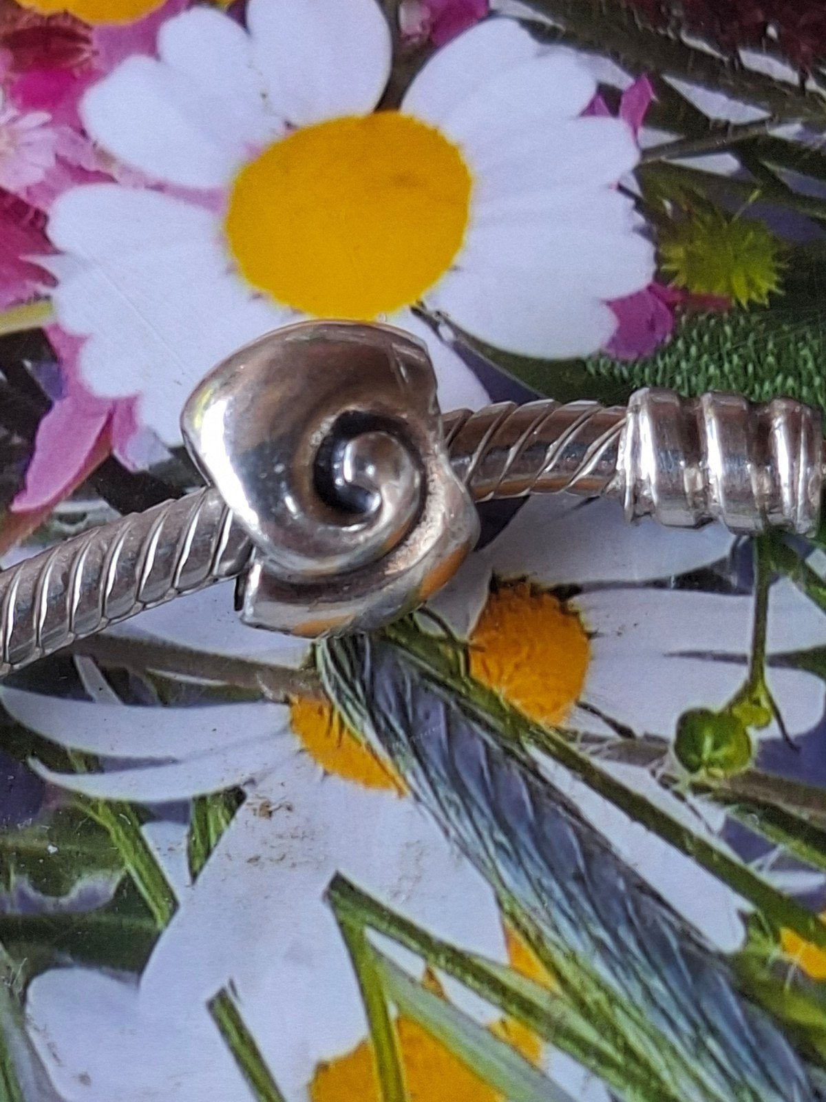 Pandora schelp, Pandora, Ophalen of Verzenden, Zo goed als nieuw, 1 bedel