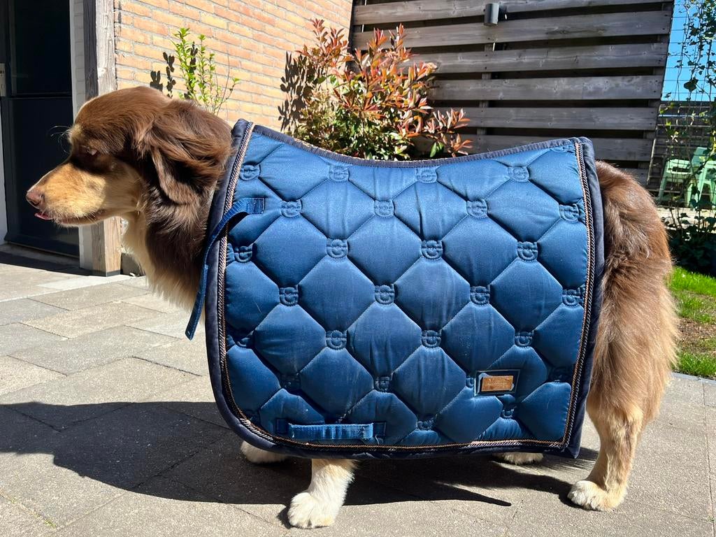 Equestrian Stockholm monaco blue full dr, Dieren en Toebehoren, Ophalen of Verzenden, Zo goed als nieuw