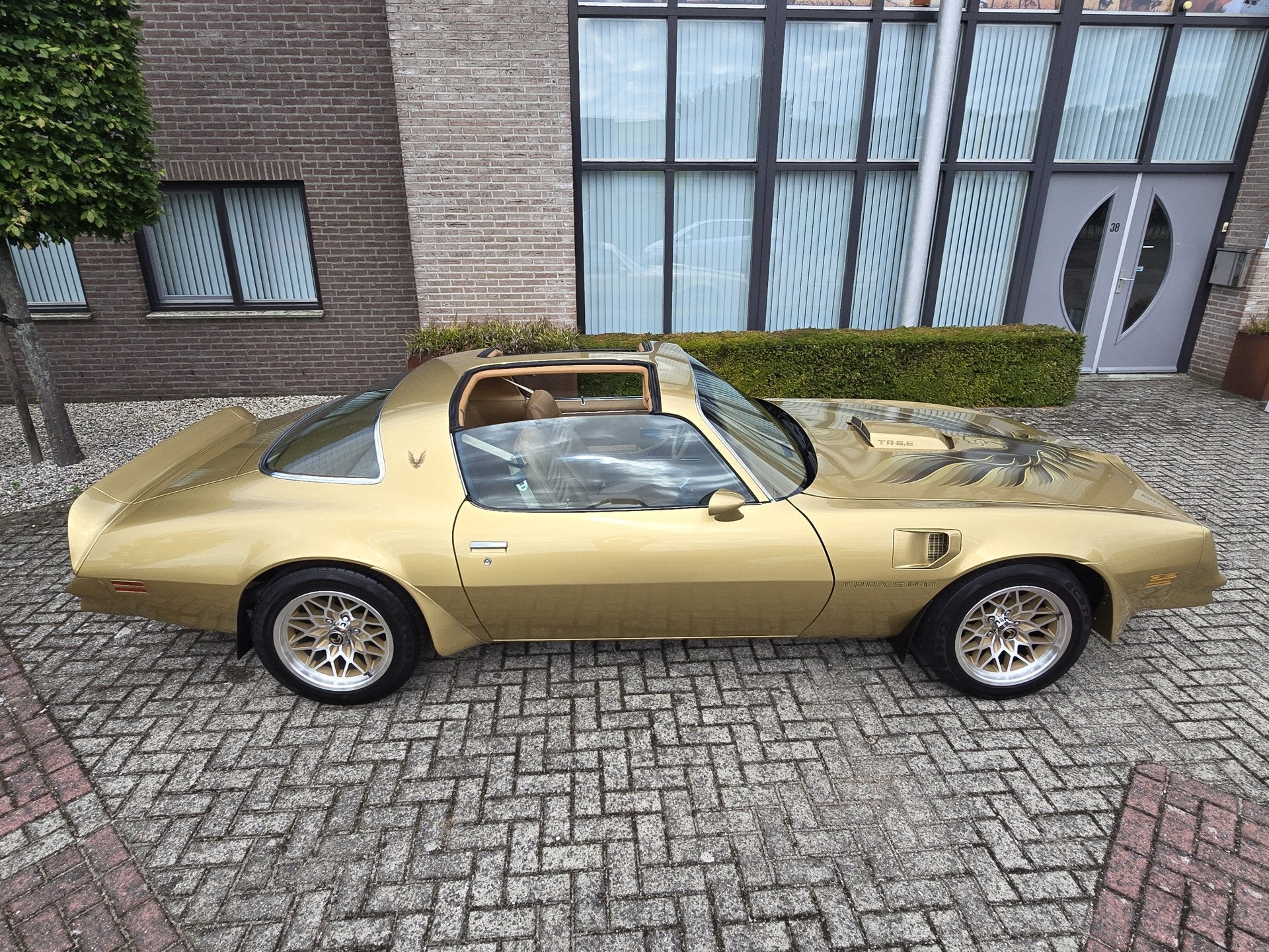 Pontiac Firebird Trans Am 6.6 FW 87 Y88 GOLD SPECIAL EDITION, foto 6
