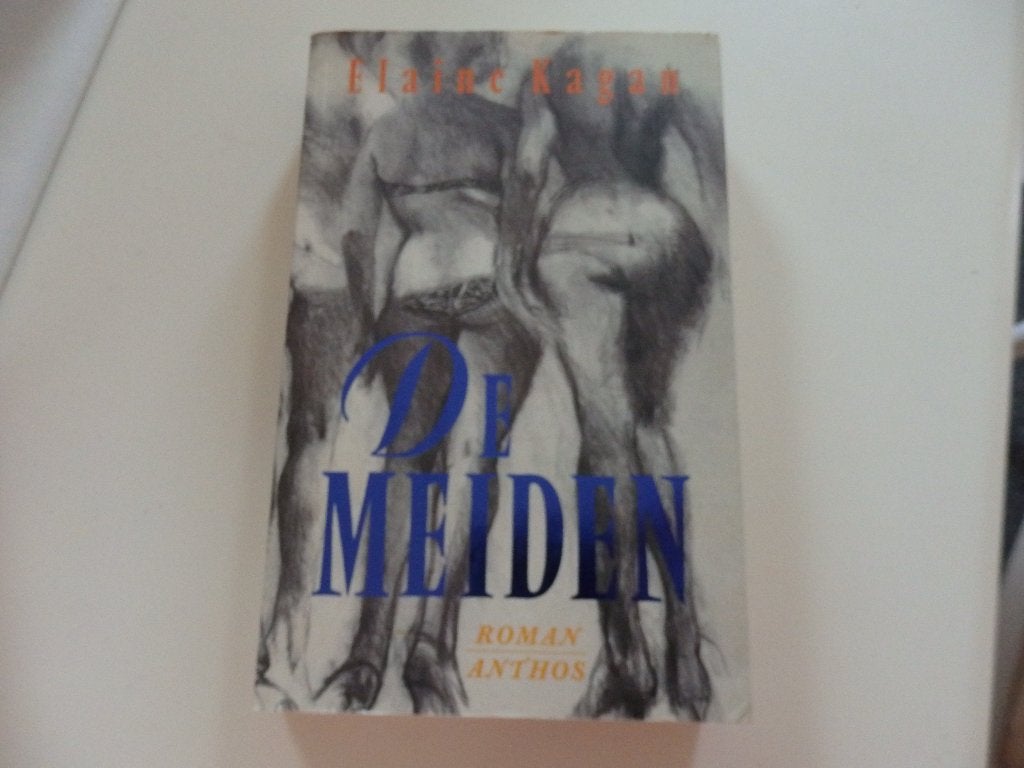 De meiden roman, Ophalen of Verzenden, Zo goed als nieuw