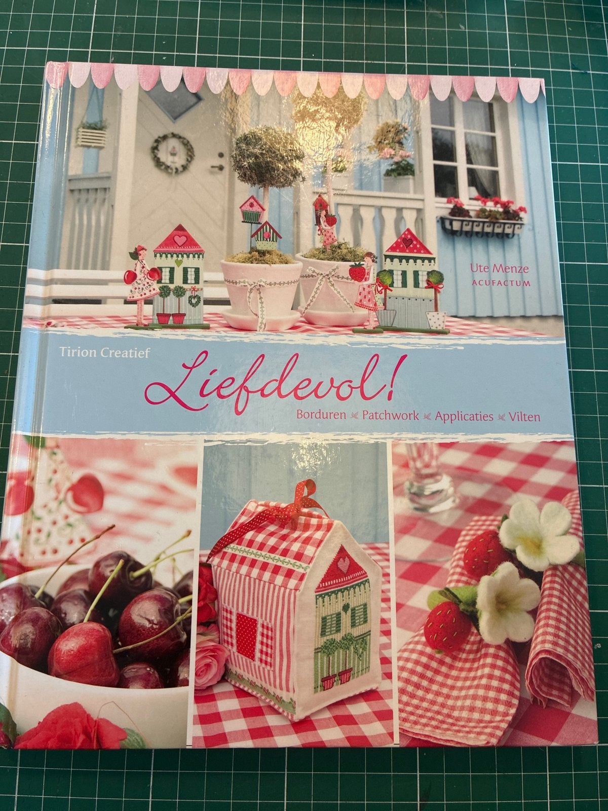 Liefdevol! Borduren, Patchwork, Applicaties & Vilten, Boeken, Ophalen of Verzenden, Zo goed als nieuw, Borduren en Naaien