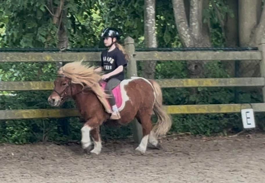 Gezoch nieuw springmaatje voor onze dochter, Ophalen of Verzenden
