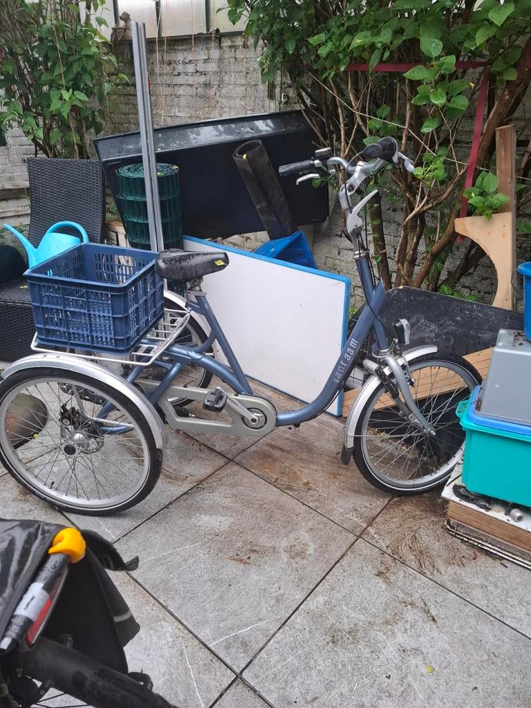 Driewiel fiets voor grote, Ophalen, Gebruikt