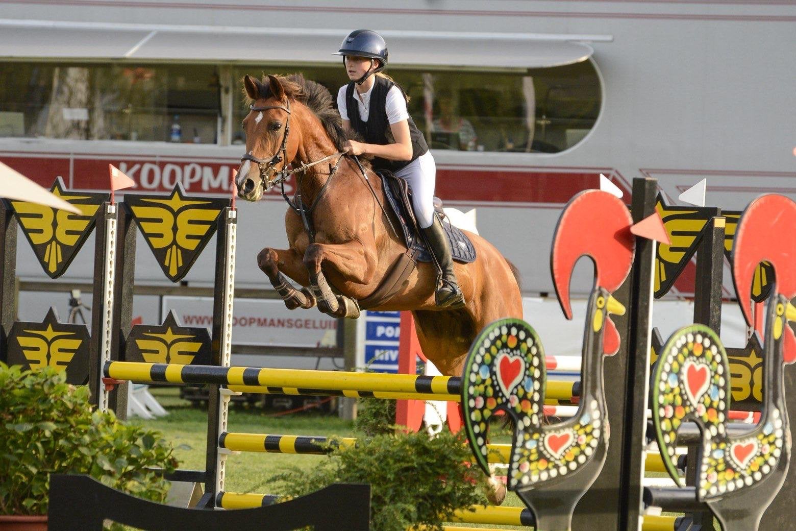 Lieve talentvolle D-pony, Dieren en Toebehoren, Pony's, M, Springpony, 7 tot 10 jaar, D pony (1.37m tot 1.48m)