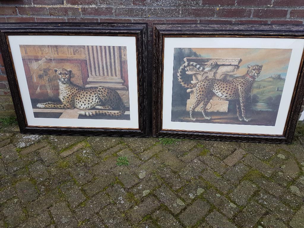 schilderij / tekening jachtluipaard, 2 stuks, Ophalen, Zo goed als nieuw, Schilderij, Minder dan 50 cm