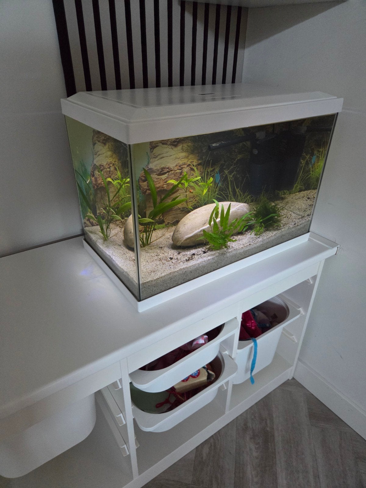 aquarium, Ophalen of Verzenden, Gebruikt, Leeg aquarium