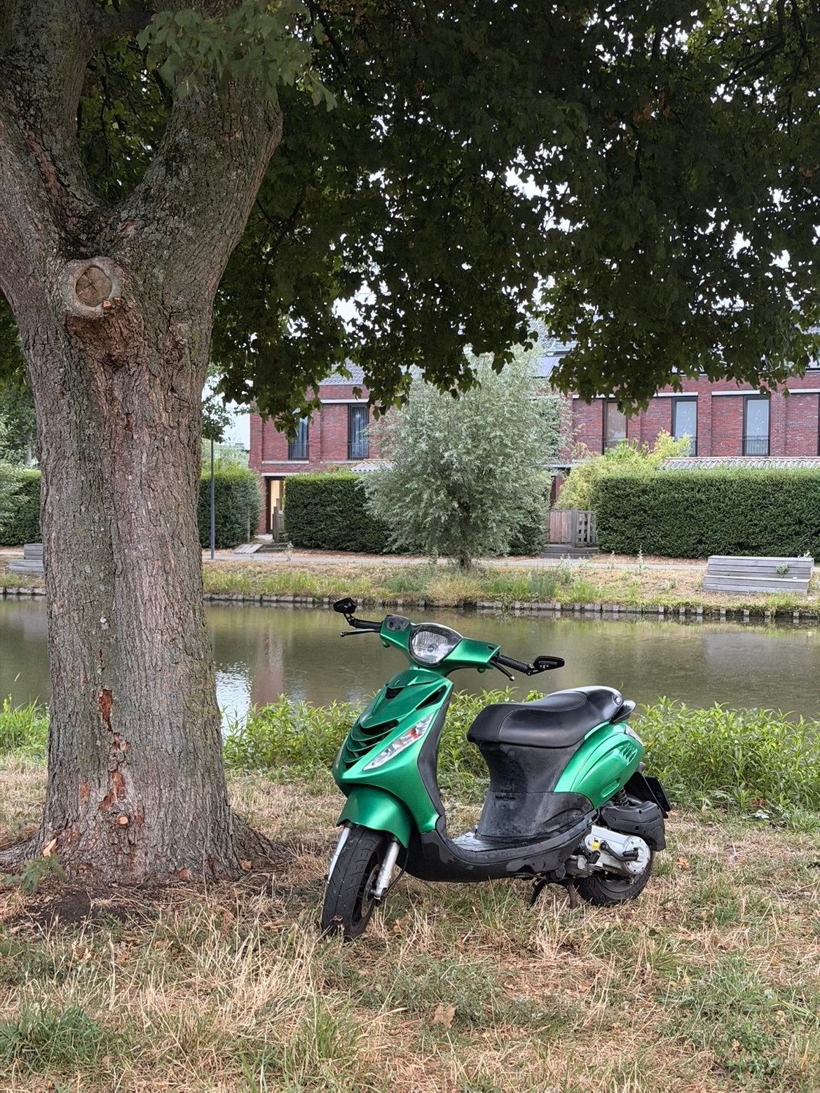 Piaggio Zip Scooter - Groen - Goede staat, Ophalen, Gebruikt, Maximaal 45 km/u, Zip