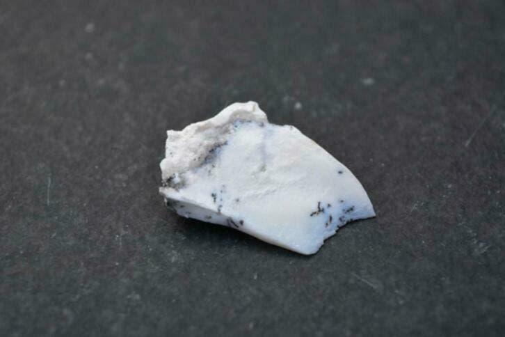 Dendriet Opaal (nr 12), Nieuw, Ophalen of Verzenden, Nvt, Nvt
