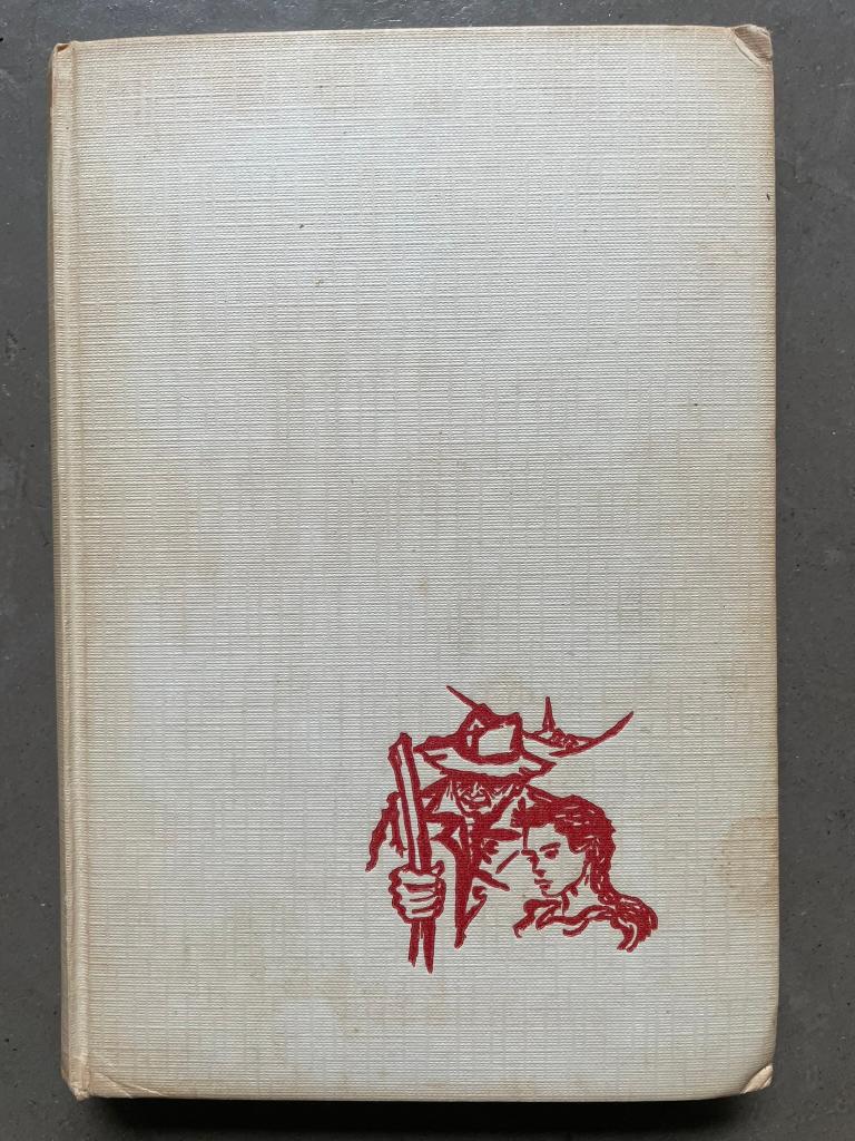 Jeugdboek "Ze verdrinken ons dorp", Boeken, Ophalen of Verzenden, Gelezen