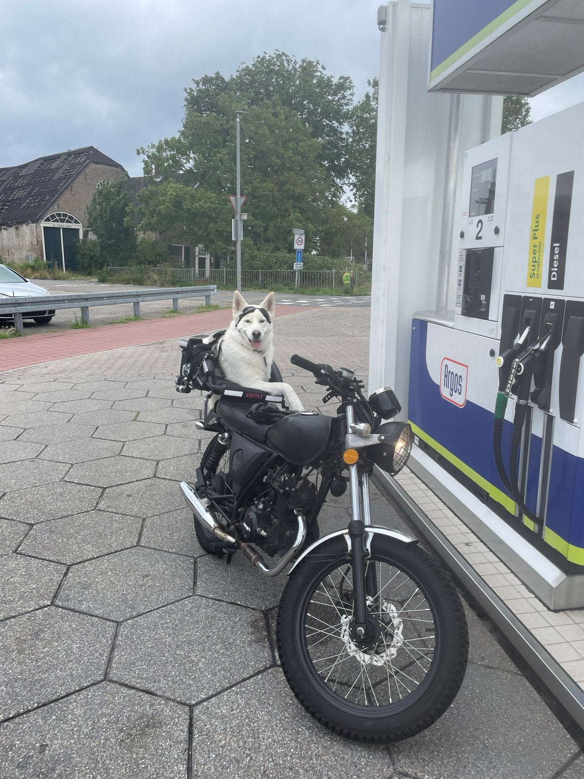 Uniek: Mash Fifty 50cc brommer met hondenzitje, Fietsen en Brommers, Ophalen, Gebruikt, Maximaal 45 km/u, 50 cc