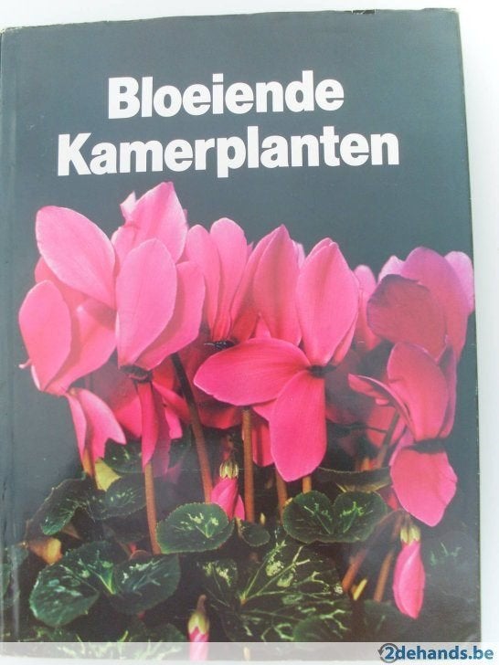 Bloeiende kamerplanten/ Groenblijvende kamerplanten, Boeken, Ophalen of Verzenden, Zo goed als nieuw, Kamerplanten