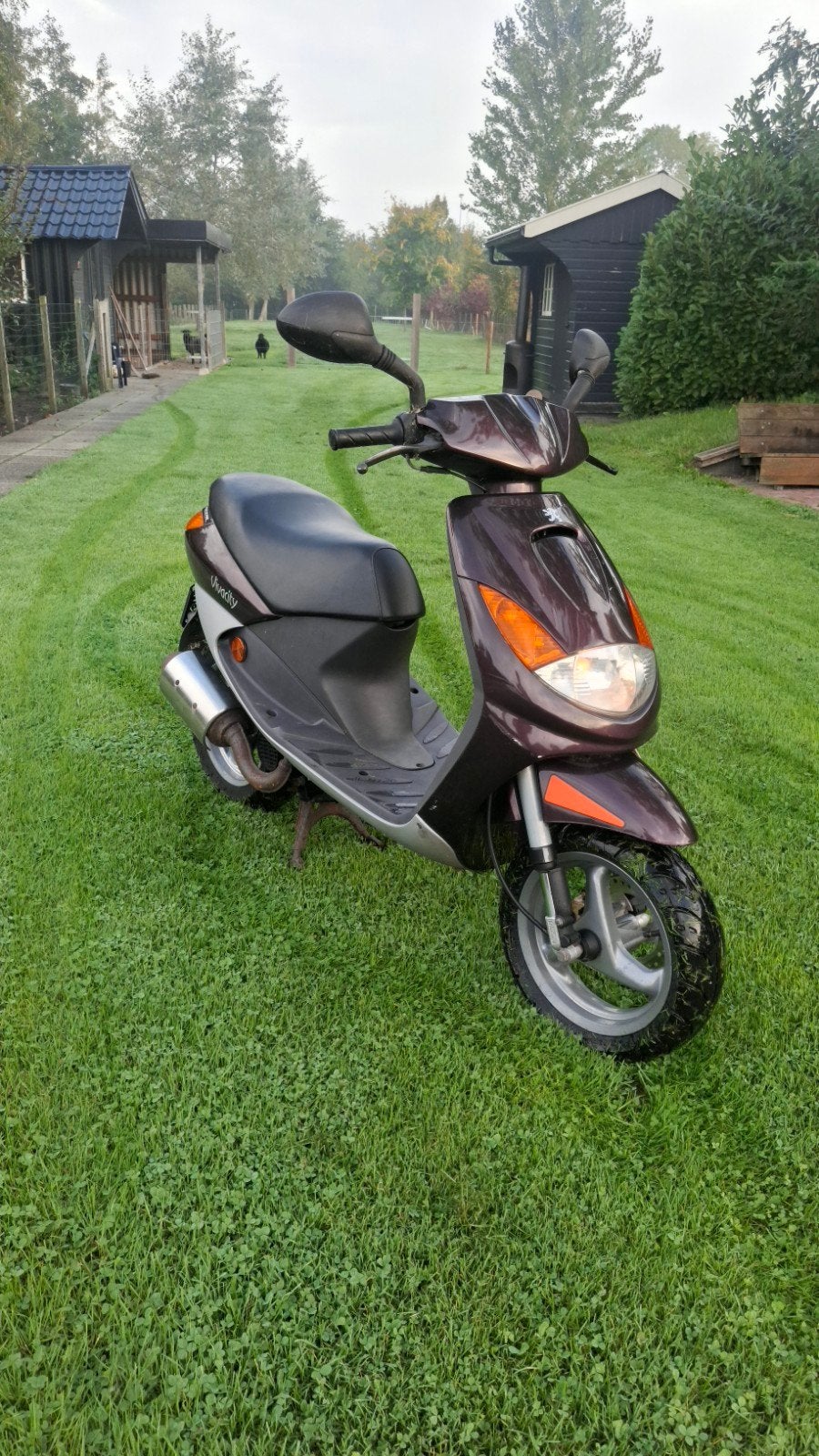 Peugeot vivacity, Fietsen en Brommers, Ophalen, Gebruikt, Benzine, 50 cc