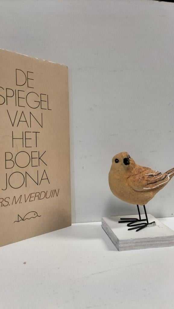 Verduin, Drs. M.; De spiegel van het boek Jona, Ophalen of Verzenden, Gelezen, Christendom | Protestants