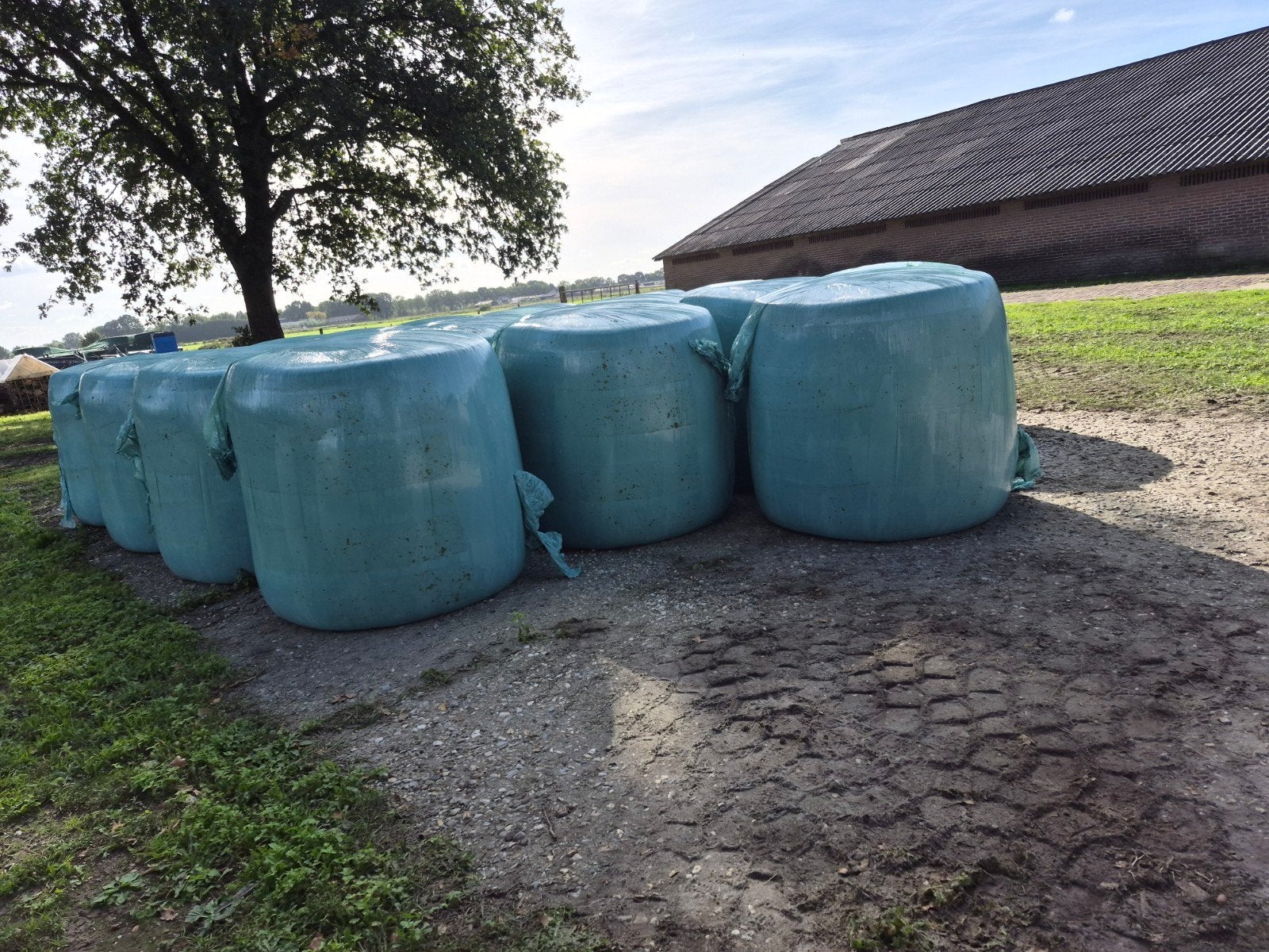 maisbalen te koop., Dieren en Toebehoren, Ophalen, Vee