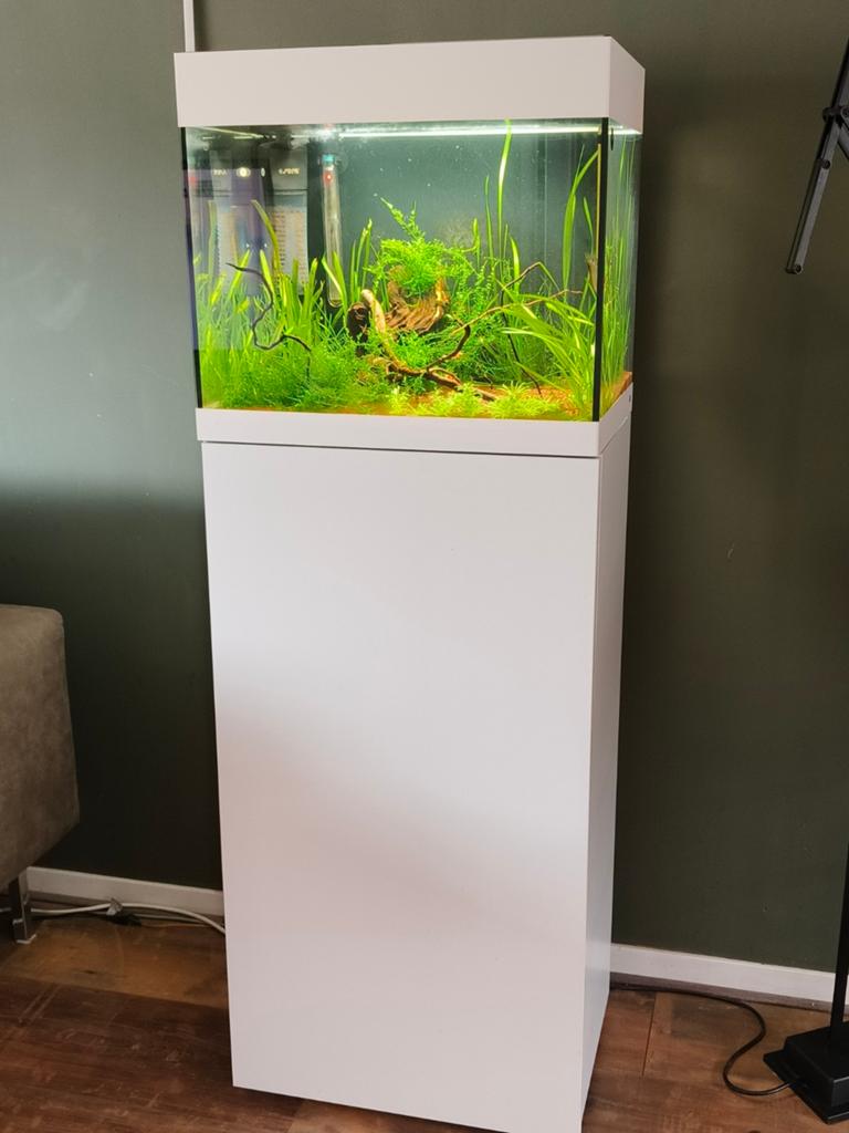 Oase StyleLine 85 gevuld met Cristal red, Ophalen, Oase, Inclusief deksel, Gevuld zoetwateraquarium