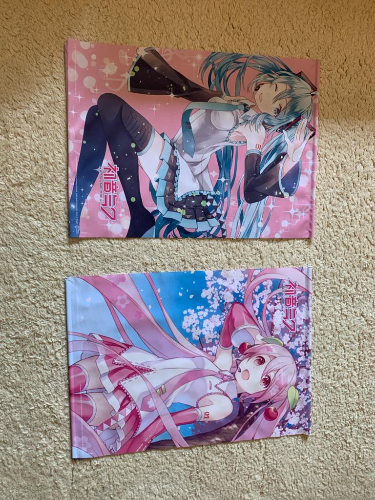 Hatsune Miku & sakura miku Wandkleden/Posters, Rechthoekig Staand, Ophalen of Verzenden, Zo goed als nieuw, A1 t/m A3