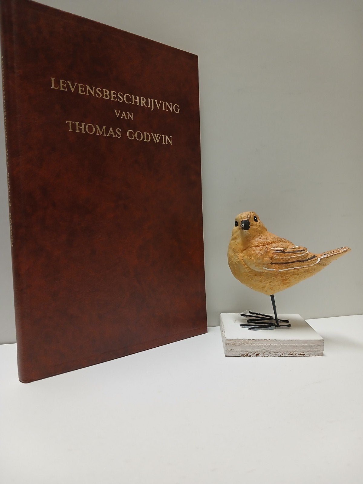 Godwin, Th.; Levensbeschrijving: Een gezaligde zondaar door, Ophalen of Verzenden, Gelezen, Christendom | Protestants