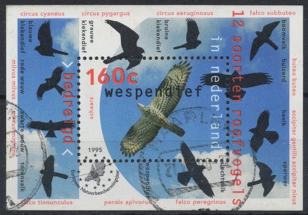 Blok (56) - natuur & milieu 1995 - roofvogels - gestempeld, Verzenden, Na 1940, Gestempeld