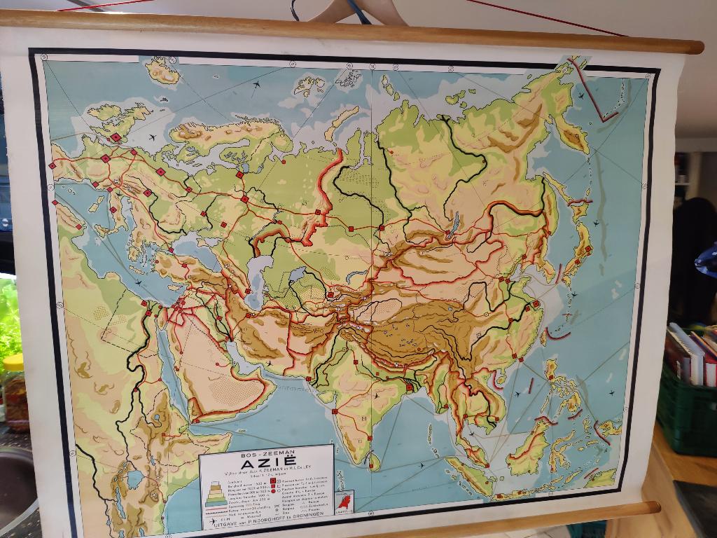 Schoolkaart bos Azie, Ophalen of Verzenden, Natuur en Biologie