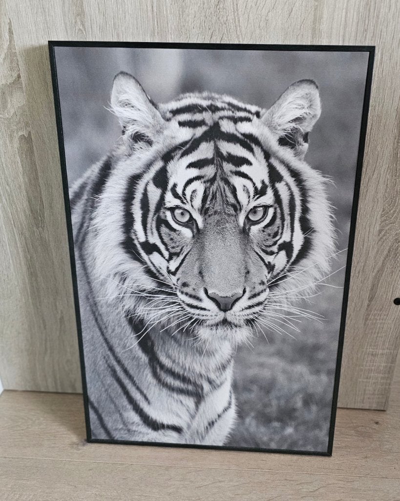 Wanddecoratie tijger, 40 cm, Schilderij, 60 cm, Ophalen of Verzenden