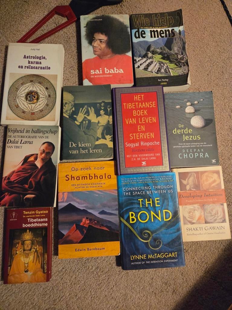20 spirituele boeken in één koop - Diverse auteurs, Boeken, Gelezen, Spiritualiteit algemeen, Overige typen, Diverse auteurs