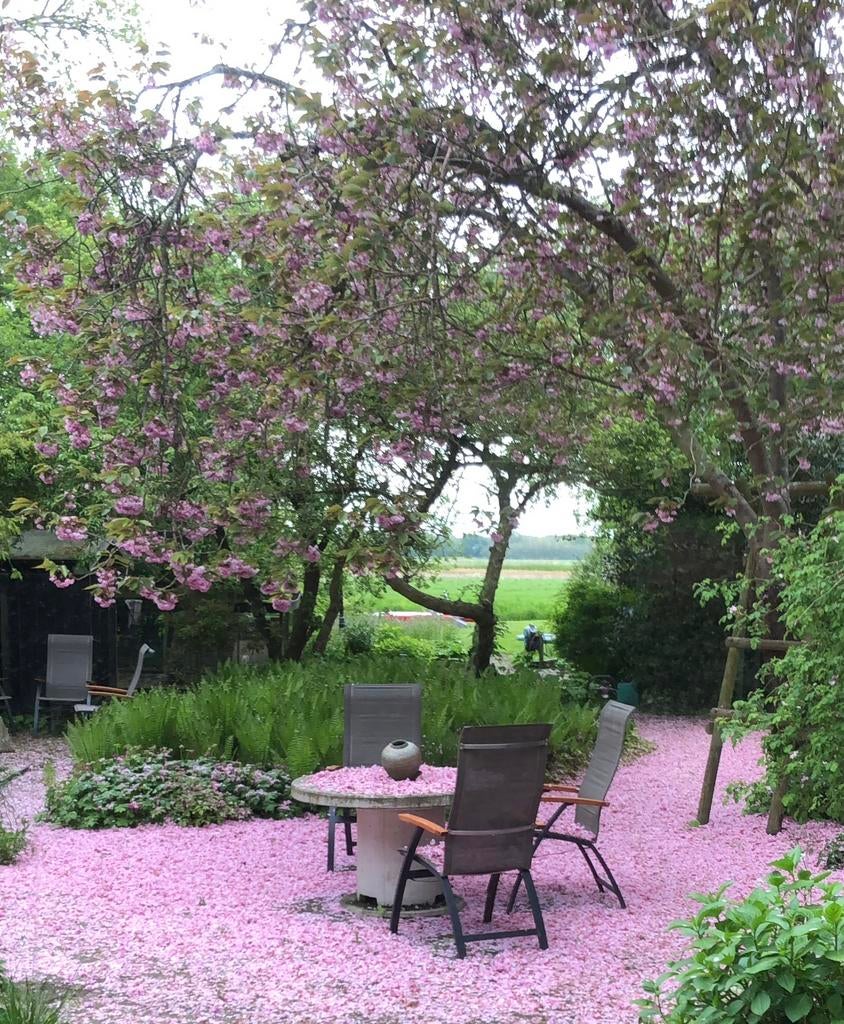 Hovenier / boomverzorger / tuinman, Garantie, Tuinontwerp
