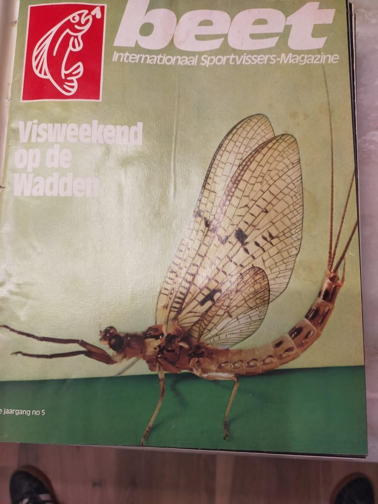 Beet - Internationaal Sportvissers-Magazine, Ophalen of Verzenden, Gelezen, Sport en Vrije tijd