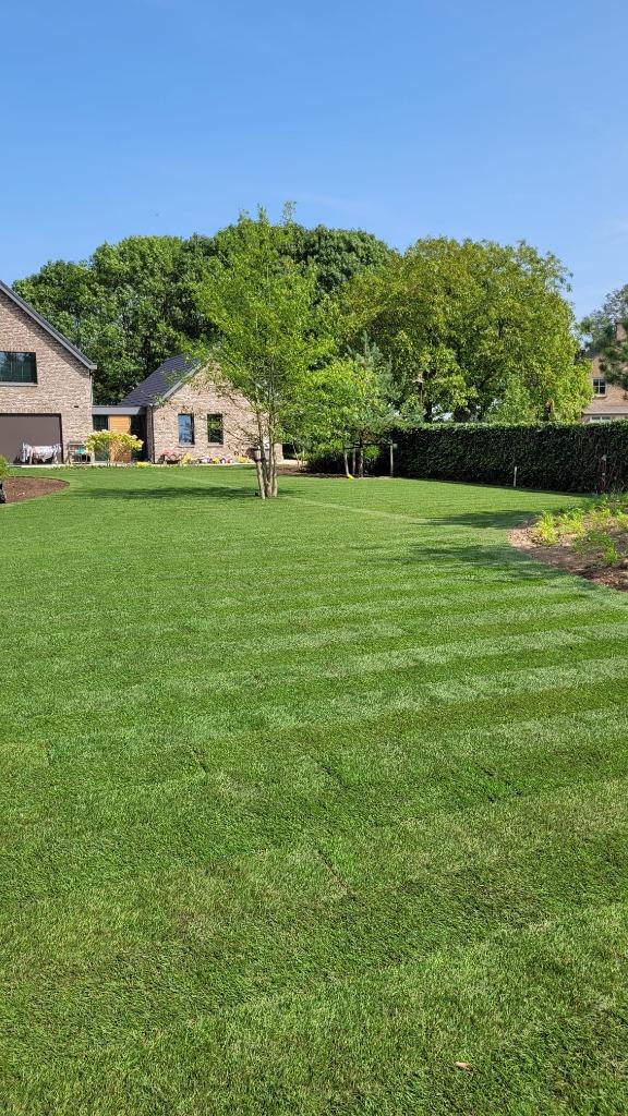 graszoden laten leggen, gazon aanleg, nieuw gras, Diensten en Vakmensen, Tuinmannen en Stratenmakers, Garantie